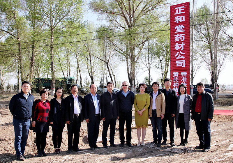 北京盛世龍精準(zhǔn)扶貧，共建黃芪種植基地