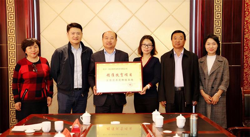 北京盛世龍精準(zhǔn)扶貧，共建黃芪種植基地